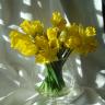 Celebrate spring